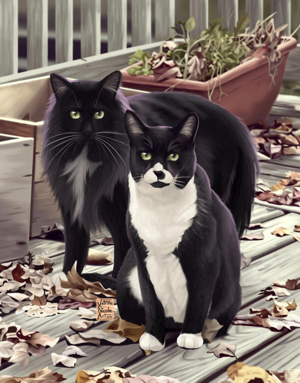&quot;Kaz &amp; Ling&quot; - Digital painting of a black &amp; white tuxedo cat and a black longhair cat.
